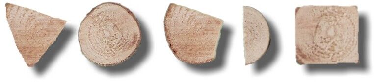 Naturholz Ast Querschnitte.